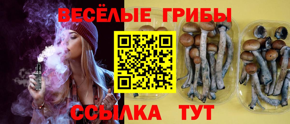 Галлюциногенные грибы Cubensis  Вход с VPN  Белая Калитва 